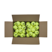 Wilson Tennis Balls Triniti Club Training (pressureless) 72 in a box